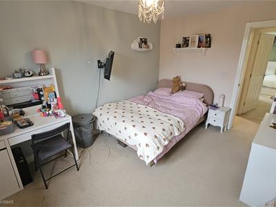 Picture 31